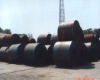 cold rolled steel coil