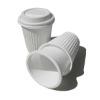 Biodegradable double wall coffee cup