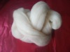 Australian wool tops