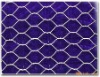 Hexagonal mesh