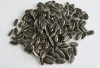 snacks/sunflower seeds 5135 22/64