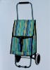 RPET newly arrived hot selling cute shopping trolley/bag/cart (bag can be taken apart)