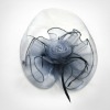 2012 fascinator flower brooches for wedding and party