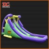 Large Funny Inflatable Water Slide Pool