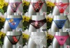 ladies' underwear