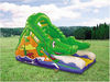 inflatable fancy slide/cheap inflatable bouncers