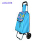 2012 Shopping Trolley Bag