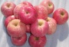 top quality Fresh Red Fuji Apple