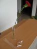 Acrylic Vase