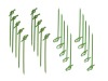 Bamboo skewer