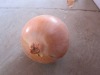 Gansu Fresh Yellow Onion