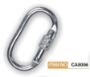 Carabiner