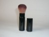 Kabuki Brush Set