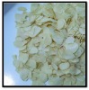 Garlic Flake Price