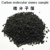 carbon molecular sieve