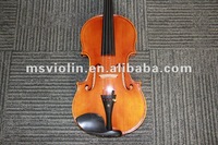 Viola