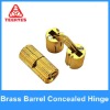 Brass Barrel Concealed Hinge