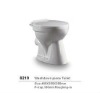 Washdown ONE piece elegance toilet with good quality 8219