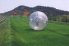 amusing zorb ball