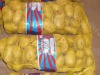 Fresh Holand Potato