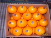 navel orange