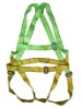 Safety harness