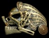 skull belt buckle