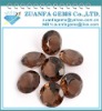 best gemstone supplier coffee brown round cubic zricon