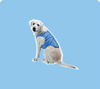 male dog clothes;xxl dog magic cool clothes