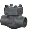 Forged Steel Check Valve