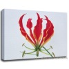 flower canvas painting