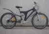 mtb lithium electric bike