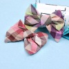 3936 Fashion hair clips