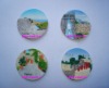 polyresin magnet,resin magnet