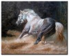 Animal Oil Painting-Horse002