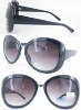 Plastic Sunglasses (SP52246)