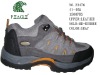 stock hiking shoes