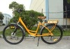 electric bike