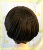 Synthetic wig/mono lace/#30,#6,HL#8