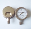 stainless  steel pressure gauge