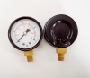 pressure gauge