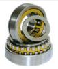 Cylindrical Roller Bearing