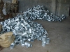 Malleable iron pipe fitting