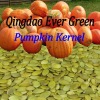 new crop chinese pumpkin seeds kernels