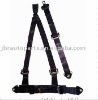 2011 Car Safety Seat Belt 4004