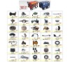 Generator Spare Parts