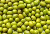 green mung bean