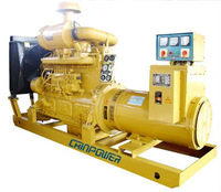 155kva Chinese brand diesel genset