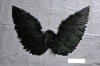 feather wing