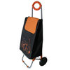 trolley bag